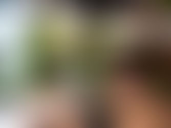 Tavanlardan Sarkıtın: Yapay Sarmaşıklarla Dikey Dekorasyon Önerileri