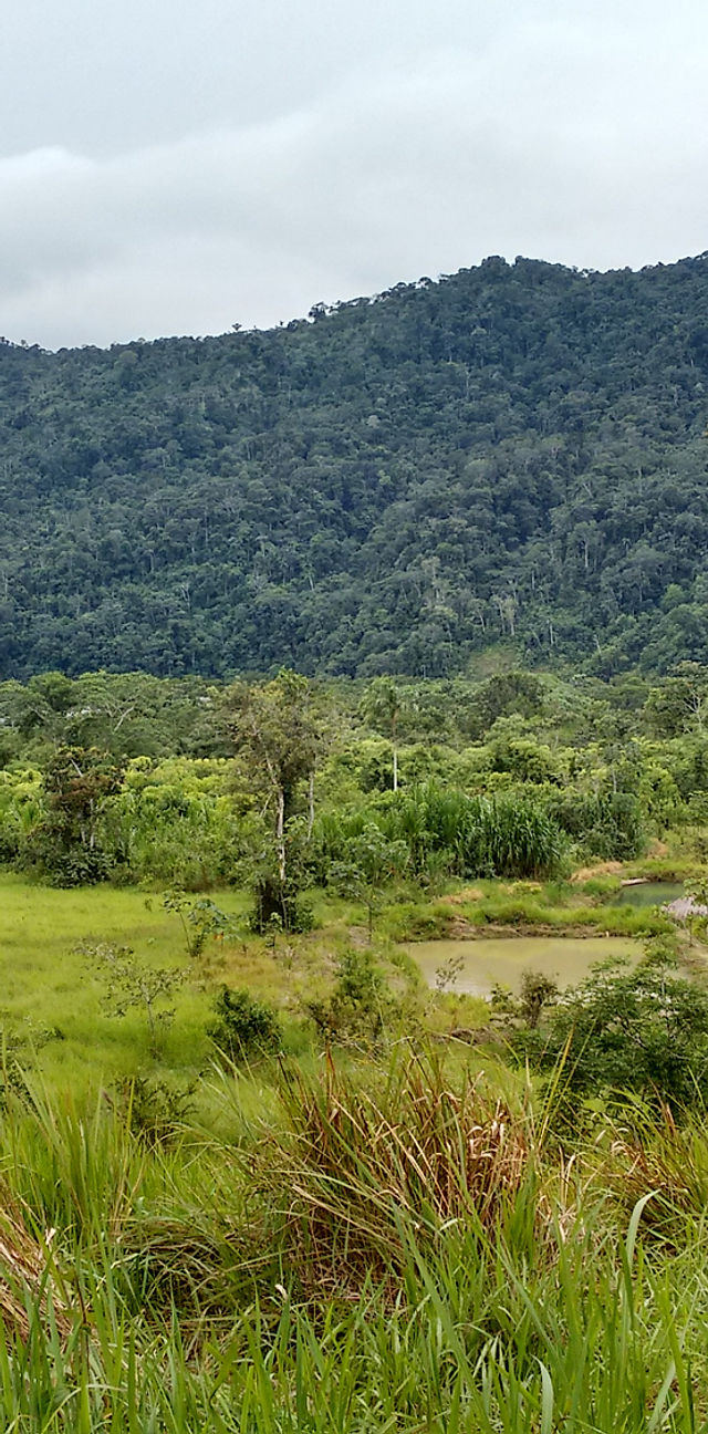 Manu | ethnoco