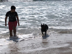 Quassy von der Burgstatte