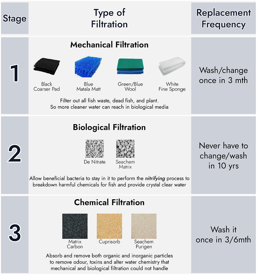 3 Important Stage in Filtration
