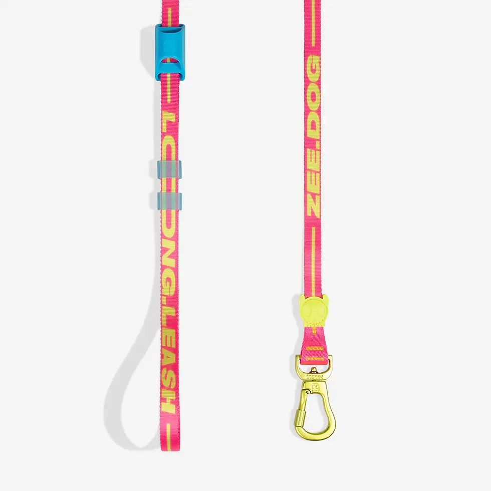 Прев'ю: Повідок для собак Zee.dog Long Leash 2.0 Drago