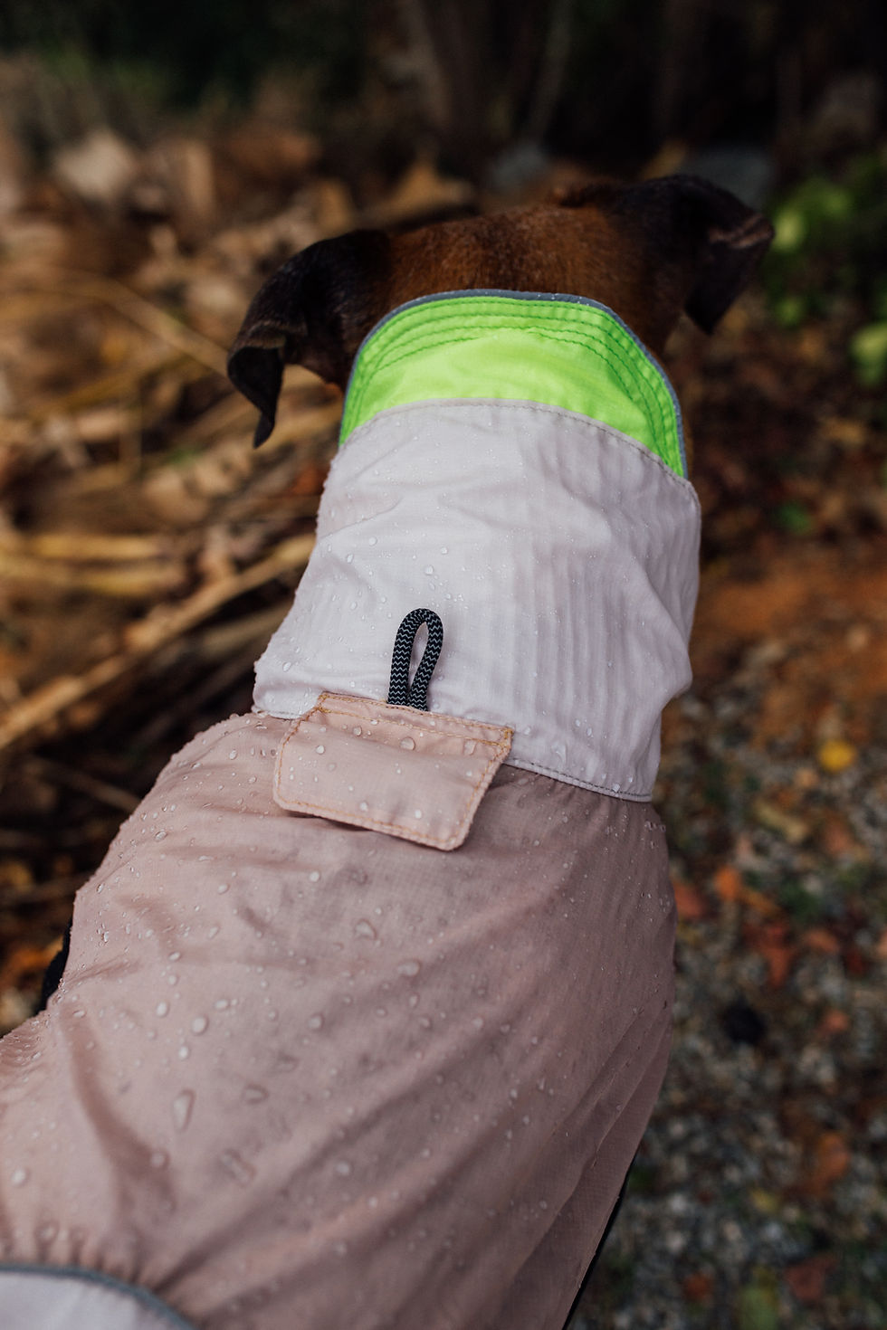 Прев'ю: Дощовик для собак Zee.dog Raincoats Oatmeal