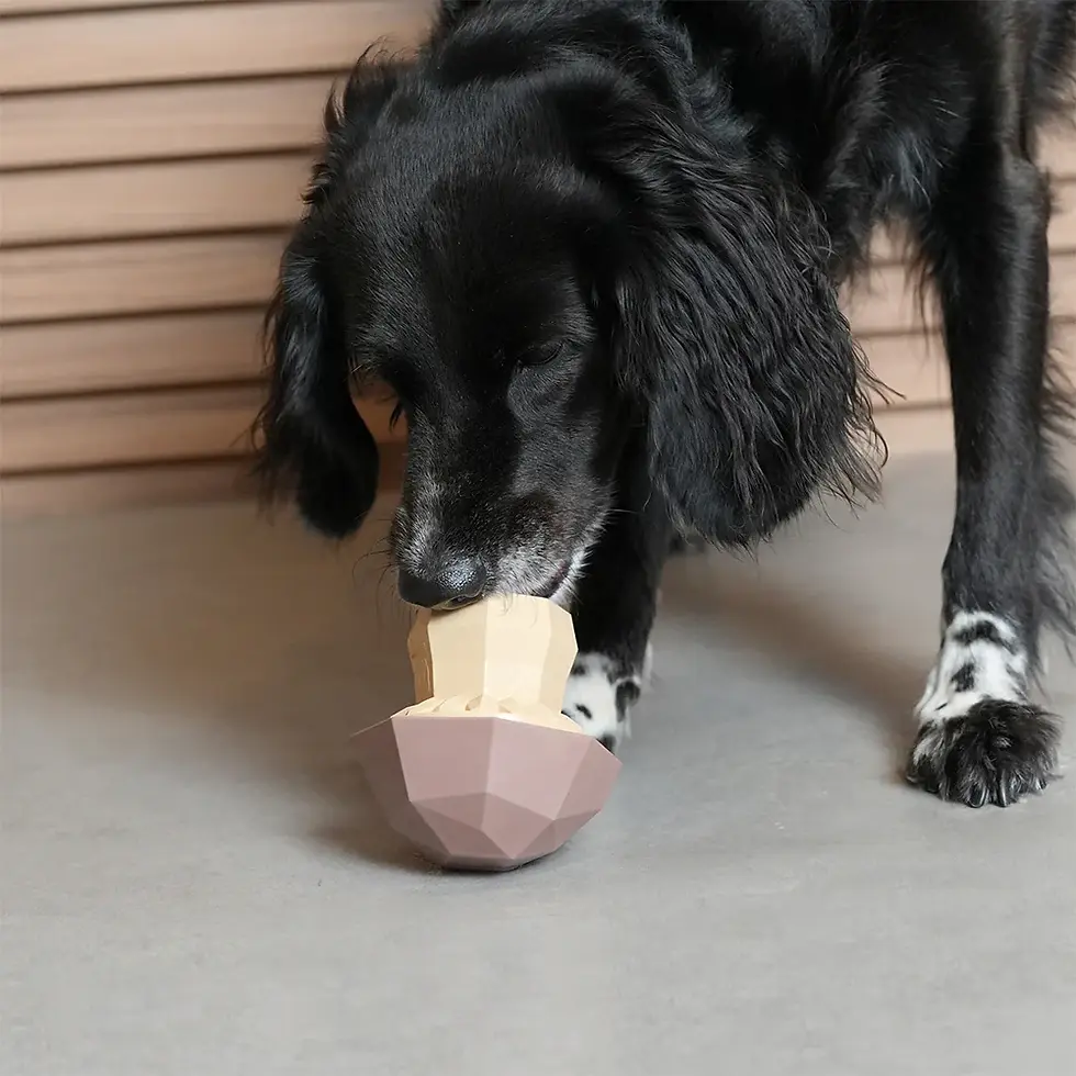 Прев'ю: Іграшка для собак Zee.dog Mushroom