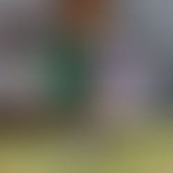 Confira como foi a participação das categorias sub-12 e 14 do Esportivo na Copa Nedel Feliz