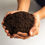 Thumbnail: person holding compost mix bag's contents