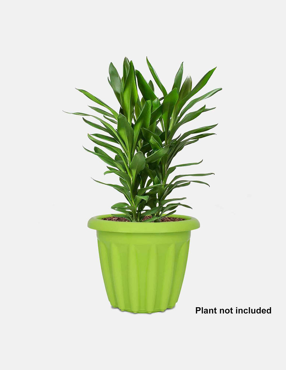 Thumbnail: 12inch Round Planter (set of 6)