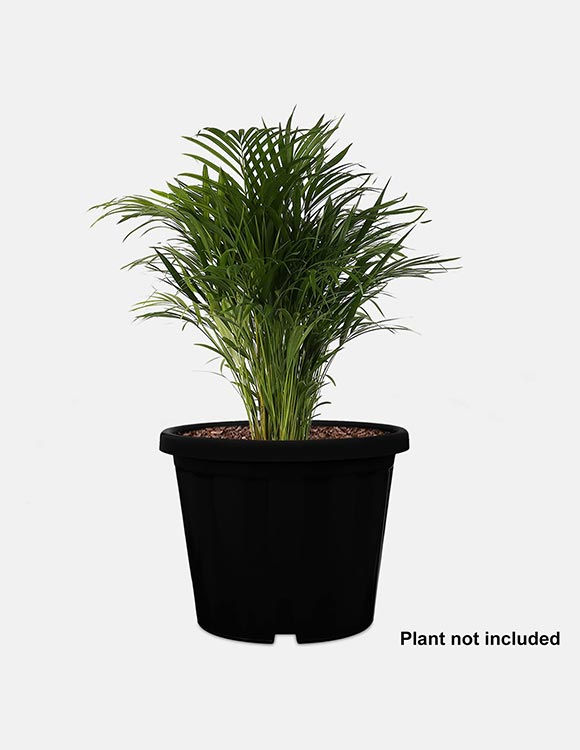 Thumbnail: 10inch Black Nursery Garden Pot