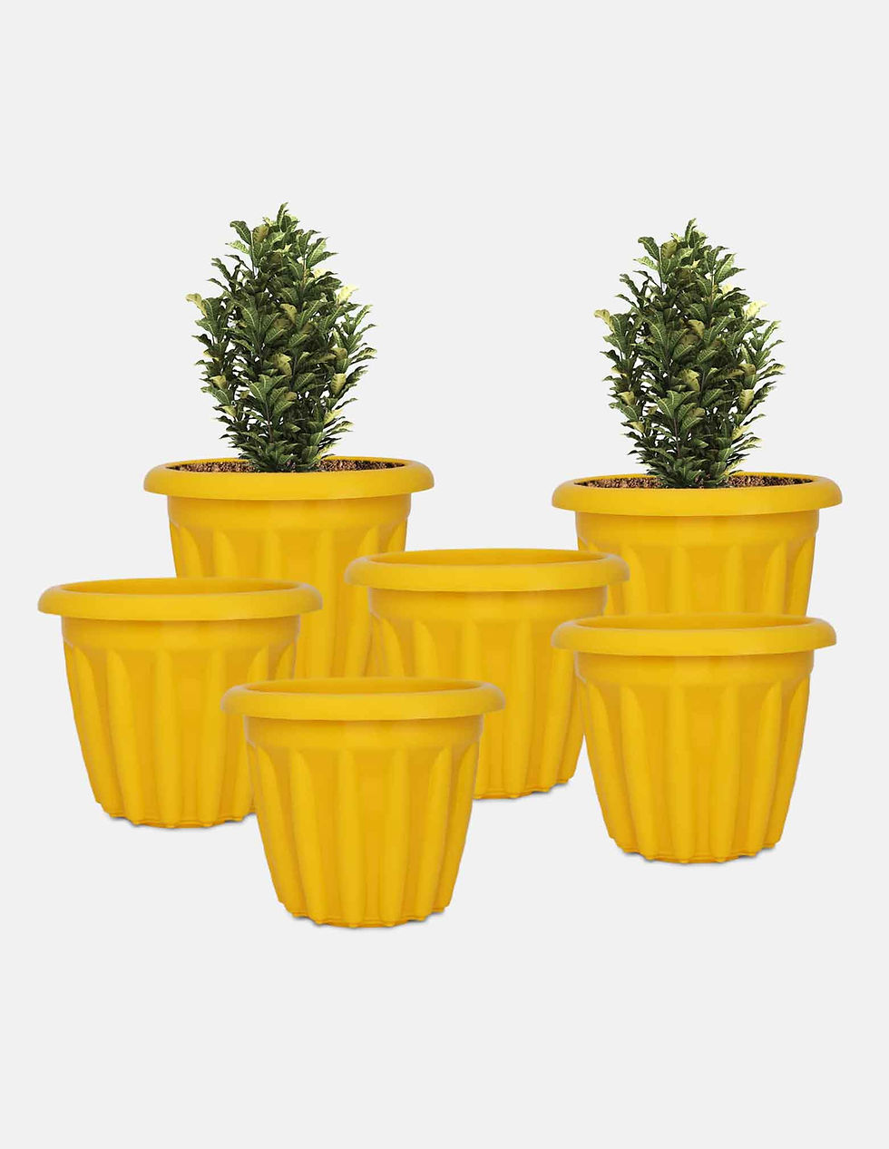 Thumbnail: 8inch Round Planter (set of 6)