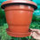Thumbnail: 10inch Plant Pot Water Collection Tray (Pack of 10)
