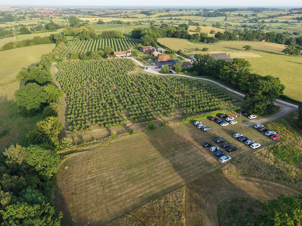 dji_fly_20250621_194808_0157_1750609615458_photo 2.JPG