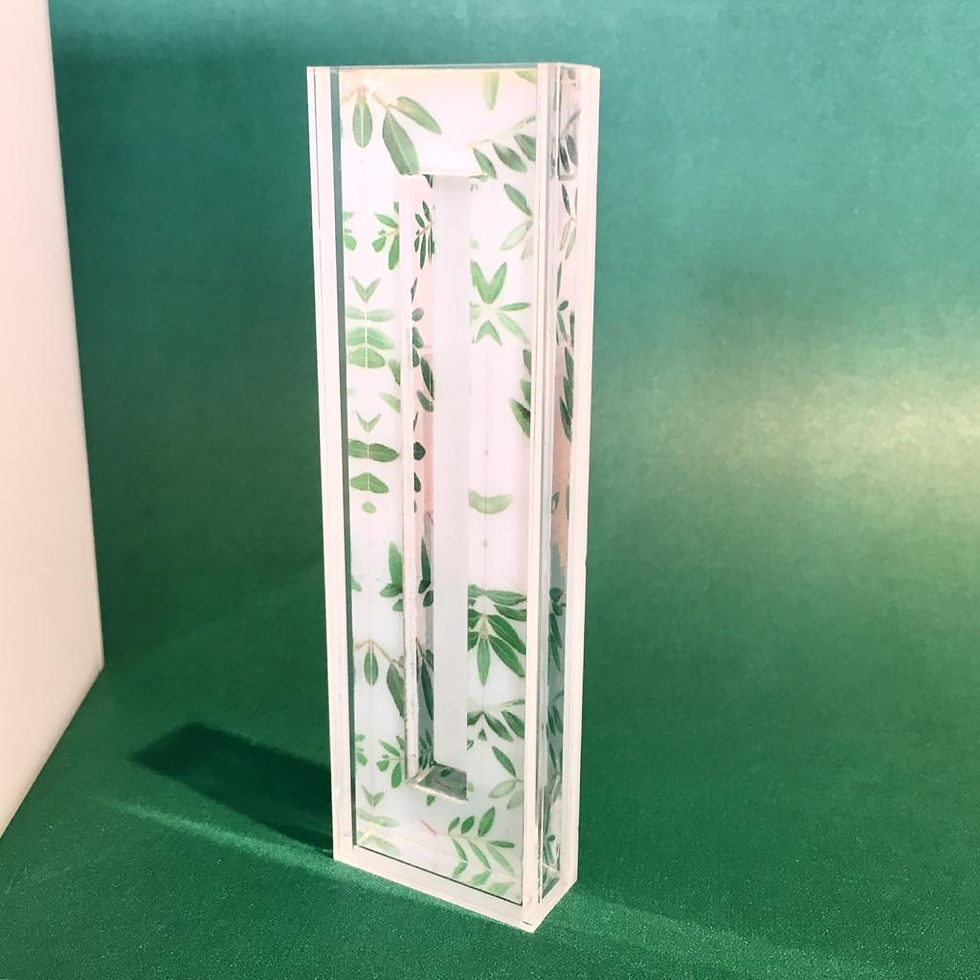 Miniatura: MEZUZÁ PLANTAS