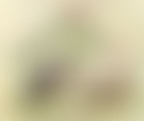 RAVENS TALK "Dr. Jackal and Madam Hide"