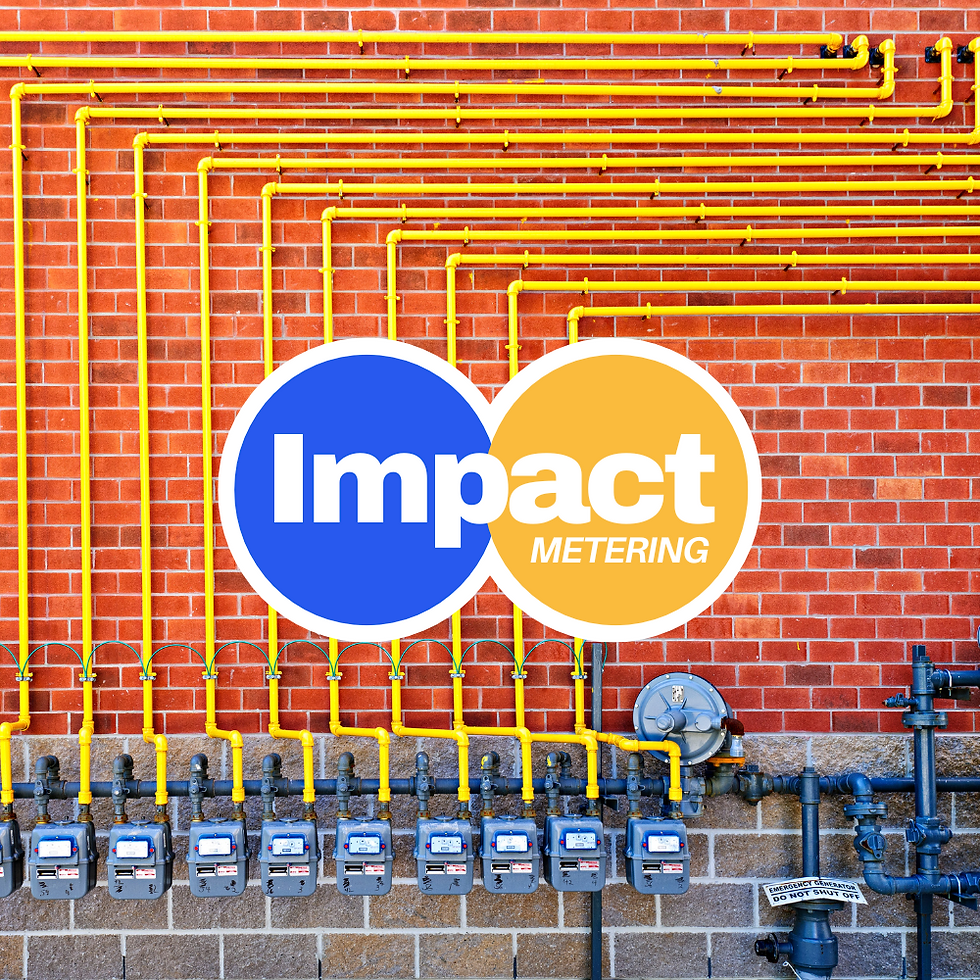 Impact Metering Logo