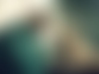 Demystifying The Day In The Life Of A Vet: What It Really Entails