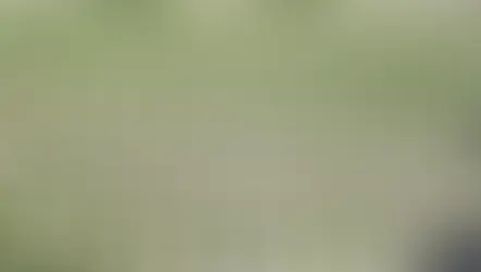 How To Maximise The Benefits Of Permeable Paving