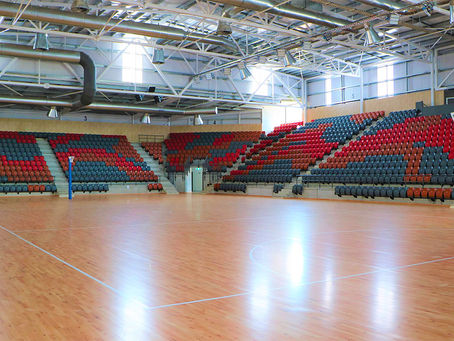 A Contemporary Curtain Raiser: Exploring the Innovative Features of Modern Netball Stadiums