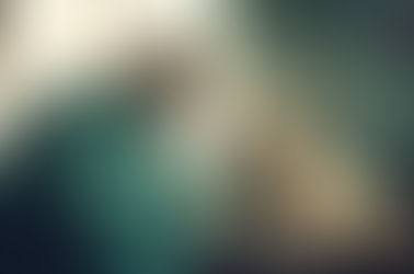 Understanding The Crucial Role Of An Animal Hospital In Pet Care