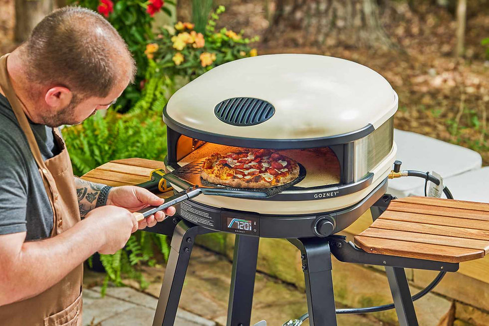 Understanding The Advantages Of A Gas Pizza Oven For Sale