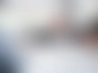 Why Hiring a Will Disputes Lawyer is Essential for Estate Planning