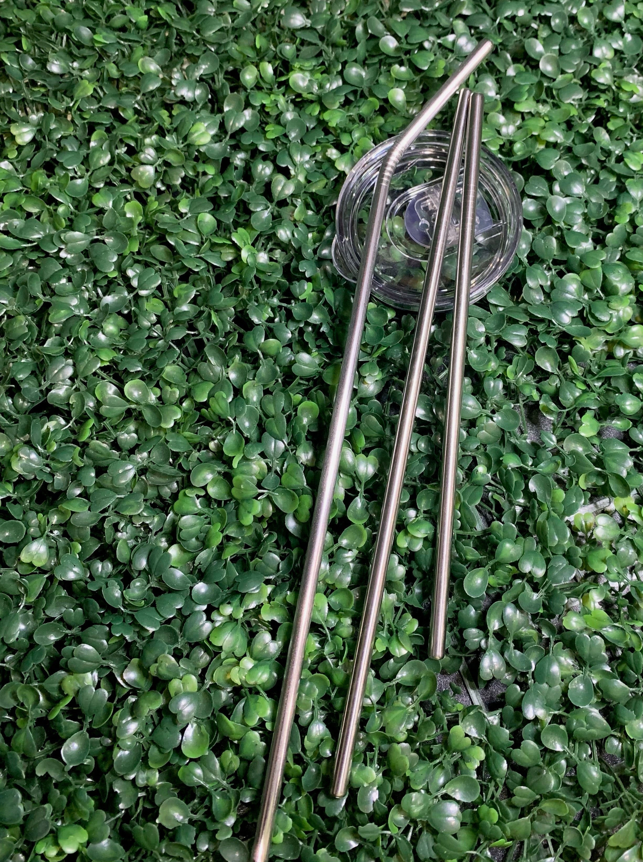 Replacement Lids And Reusable Straws