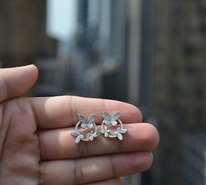 DSC_0179 - Copy (2).JPG