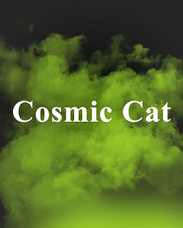 cosmic-cat.jpg