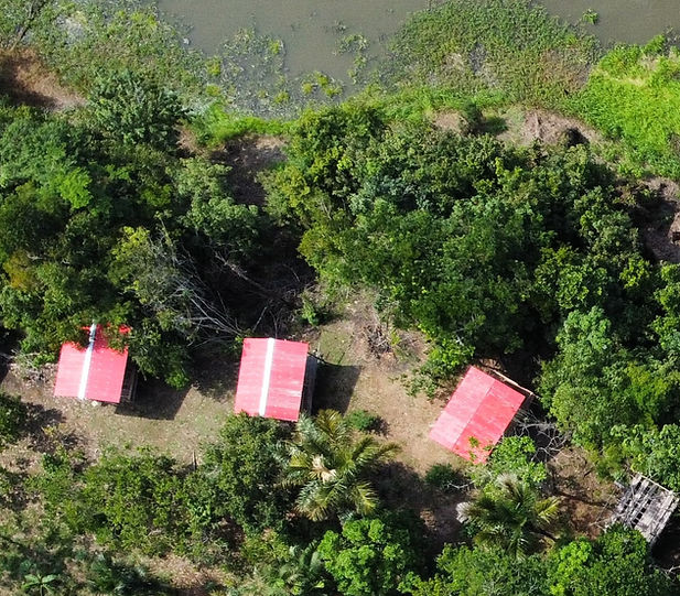 WhatsApp image from 2024-01-17 at 18.10.14_00f2bbe1.jpg