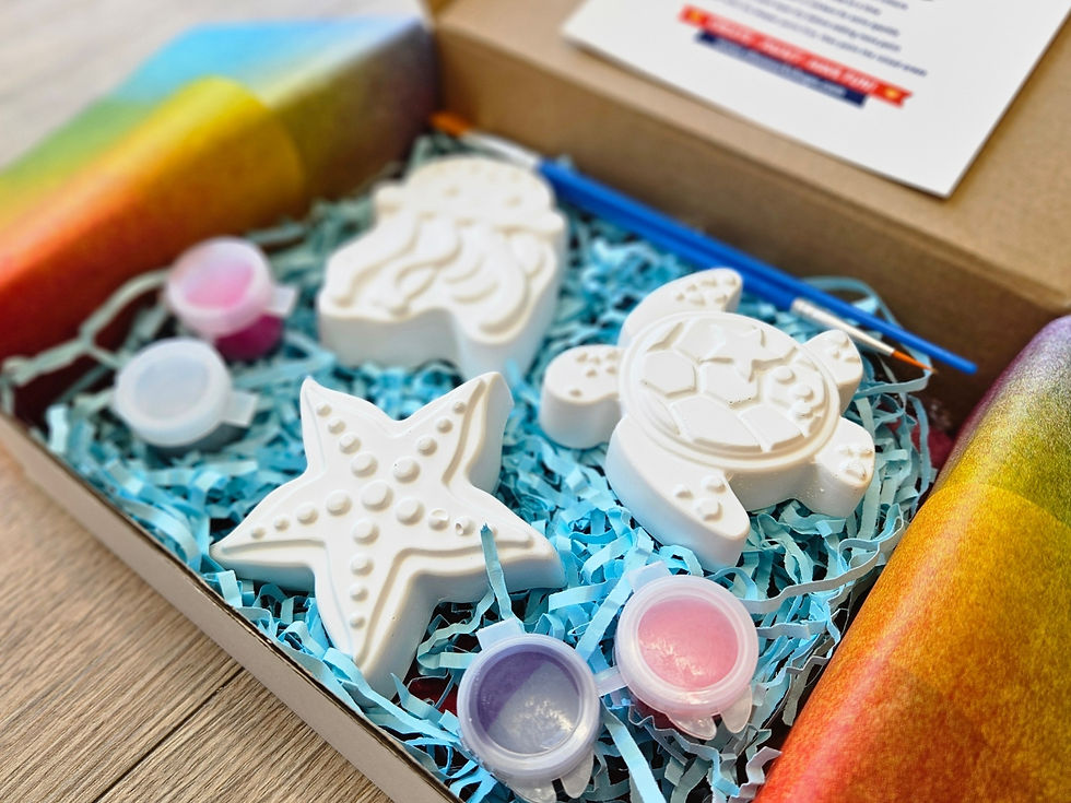 Open Ocean Magic kit box showing plaster shapes, paints and brushes arranged inside