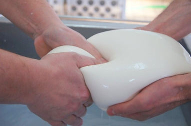 mozzarella-di-bufala-campana-la-lavorazione-e1402473545596.jpg