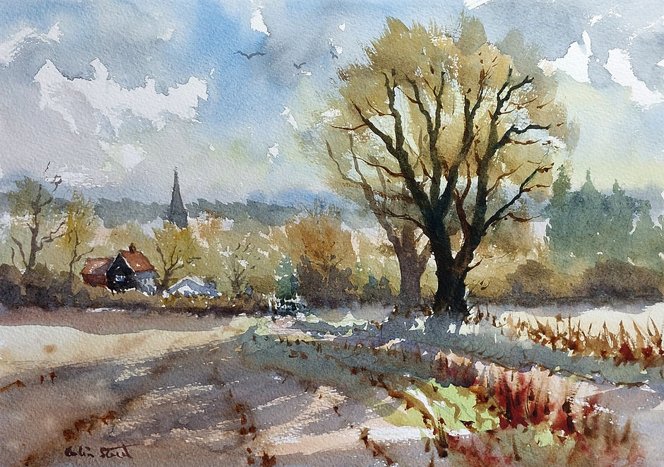 Trees in Landscape