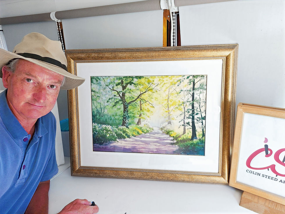 Original Colin Steed landscape painting displayed in a gallery