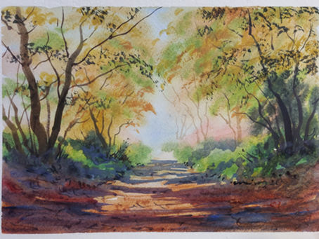 Discovering the Artistry of Colin Steed