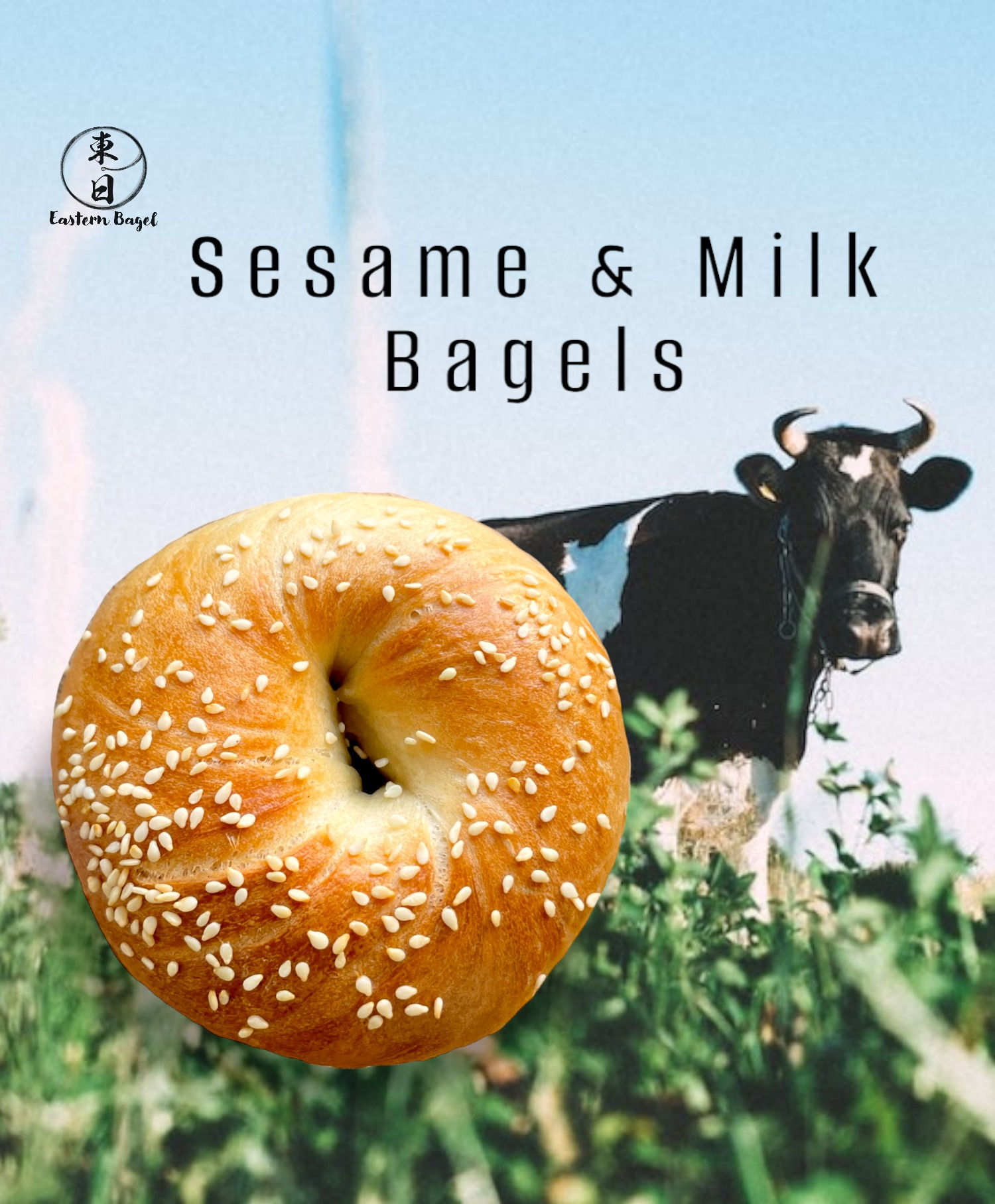 Sesame & Milk Bagels(pack of 3)
