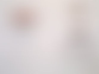 אטלס טרומן, ספרו של ד"ר שאול אריאלי