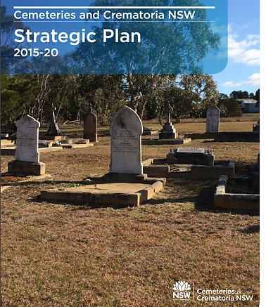 Screen Shot 2022-06-19 at 11.46.42 am.png