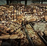 Hidden valley mushrooms.jpg
