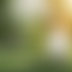 Teknik Meditasi untuk Self Management