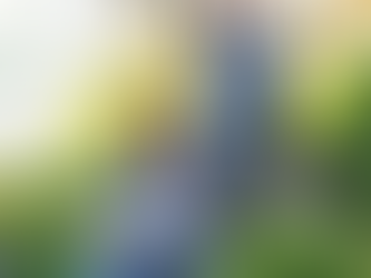 Meet Sean & Renee O'Dwyer!