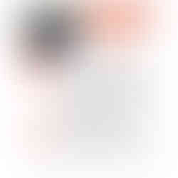 screenshot of one-pager for Mount Pleasant Baptist Church