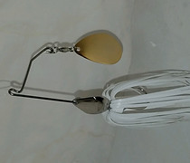 20190326_114802.jpg