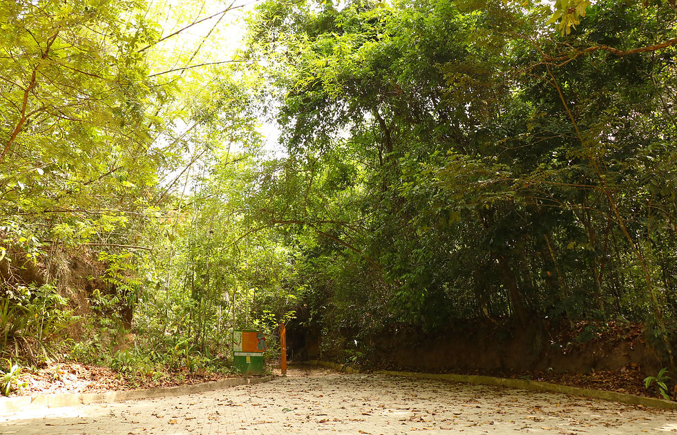 Foto: Felipe Lima