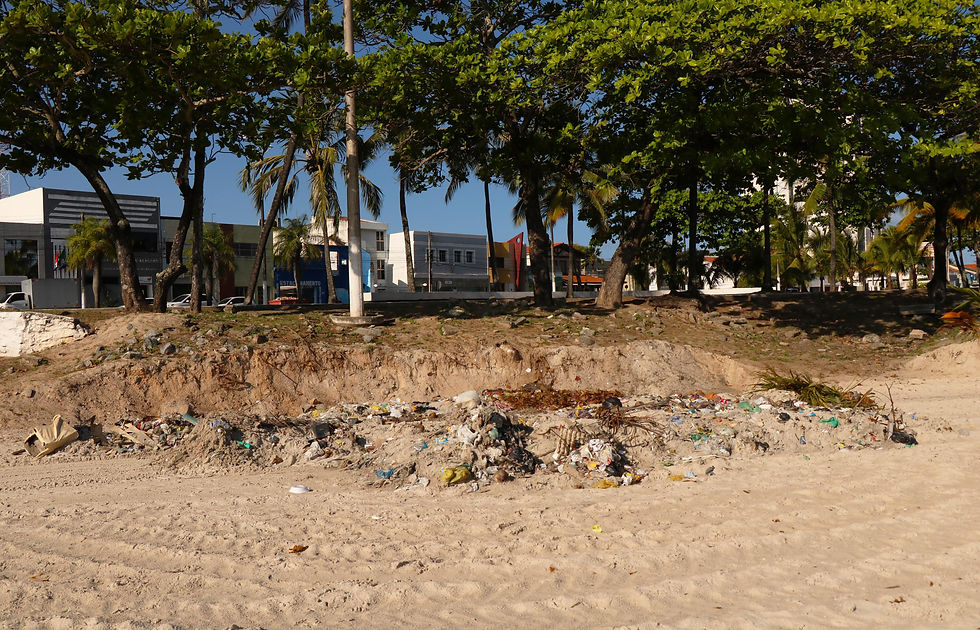Foto: Felipe Lima