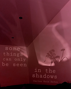 some things can only be seem in the shadows