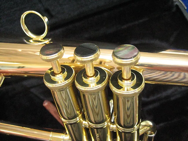 Thumbnail: New Carol Brass CFL-6200-GSS-Bb-L Flugelhorn with Case, Mouthpiece