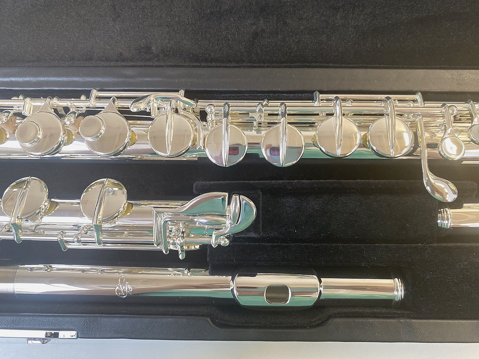 Thumbnail: Mint Open Box Di Zhao DZA 100 Silver Plated Alto Flute, Offset G; with Case