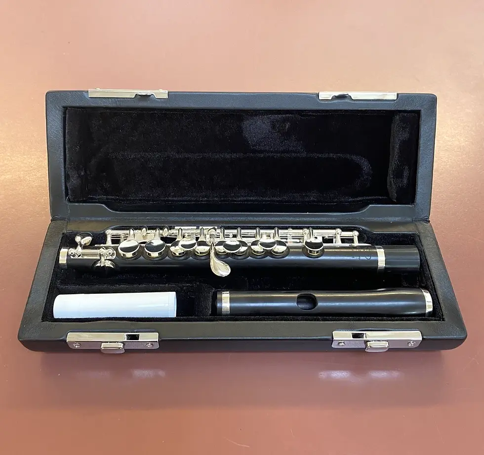 Thumbnail: Mint Open Box Di Zhao DZP 201 Piccolo; with Case, Care Kit, 2 Year Warranty