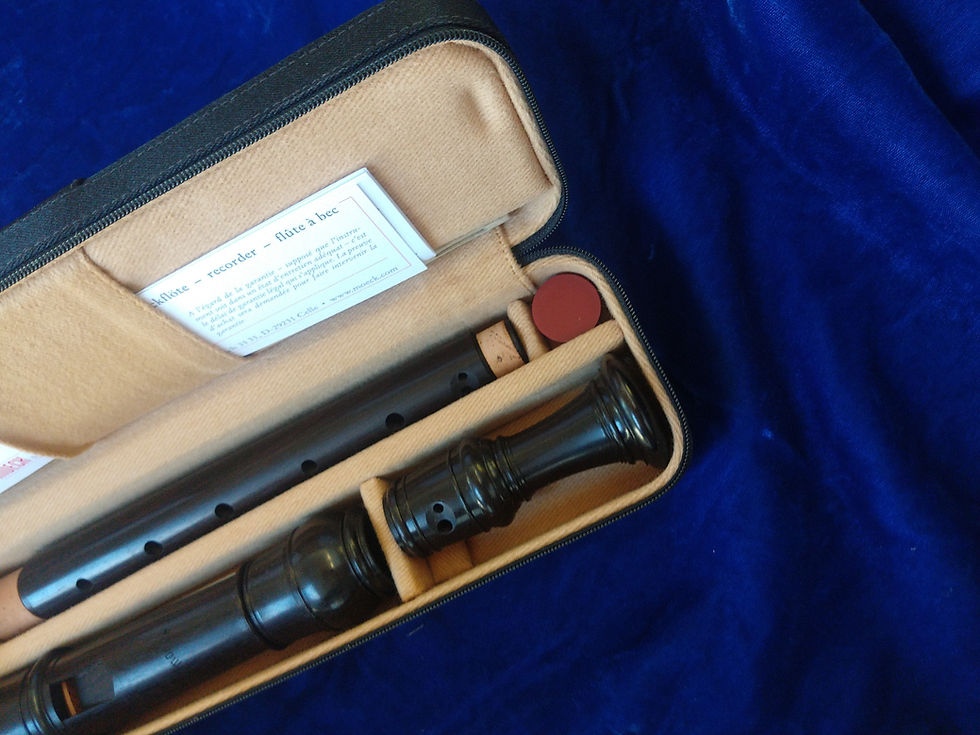 Thumbnail: New Moeck Rottenburgh Alto Recorder Model 4307 - Grenadilla with Case