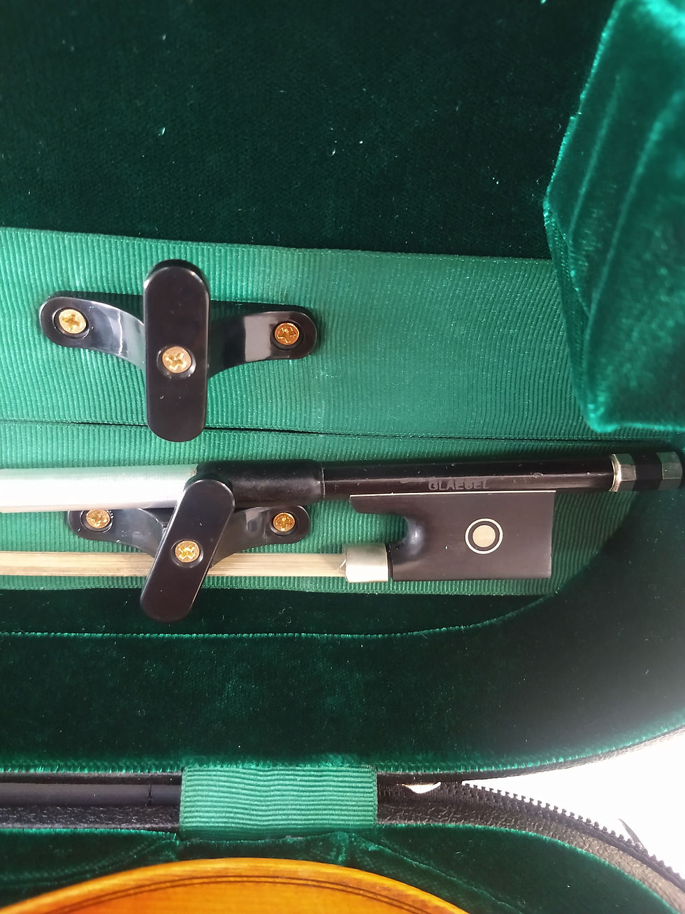 Thumbnail: New Step Up 4/4 Violin by Cedar Music, Model CD with bow, case and warranty