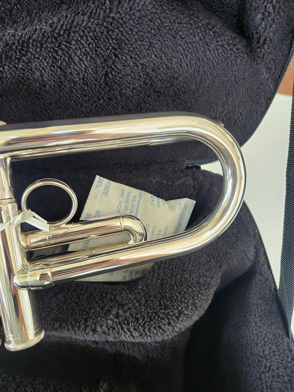 Thumbnail: New Carol Brass CTR-4000H-YSS-Bb-S Bb Trumpet - Silver-plated with Case