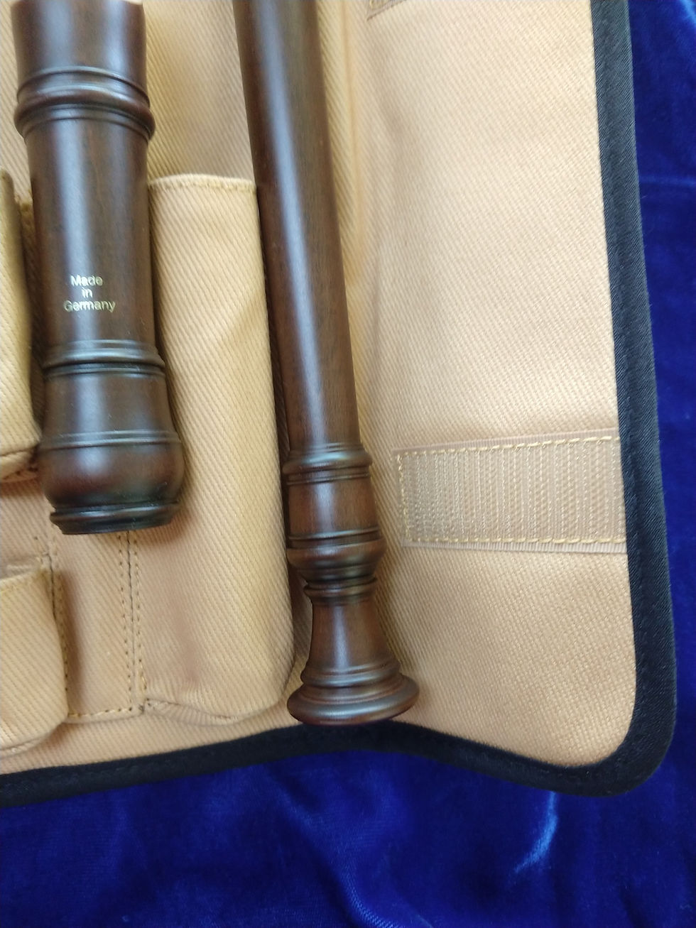 Thumbnail: New Moeck Rottenburgh Model 4291 Soprano Recorder - Stained Maple